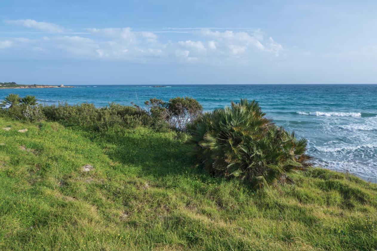 Villa Fratelli Arenella  Bagian luar foto